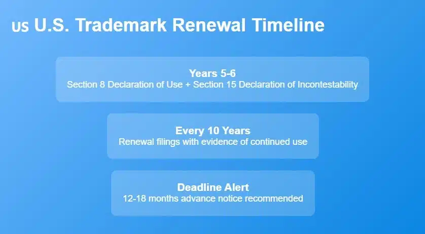 U.S. Trademark Renewal Timeline