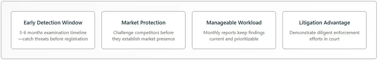 frequency-why-monthly-reports-matter