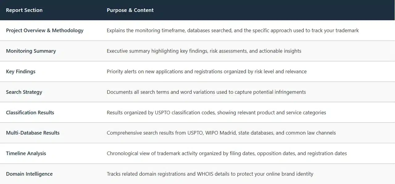 key-components-of-a-trademark-monitoring-report-sample